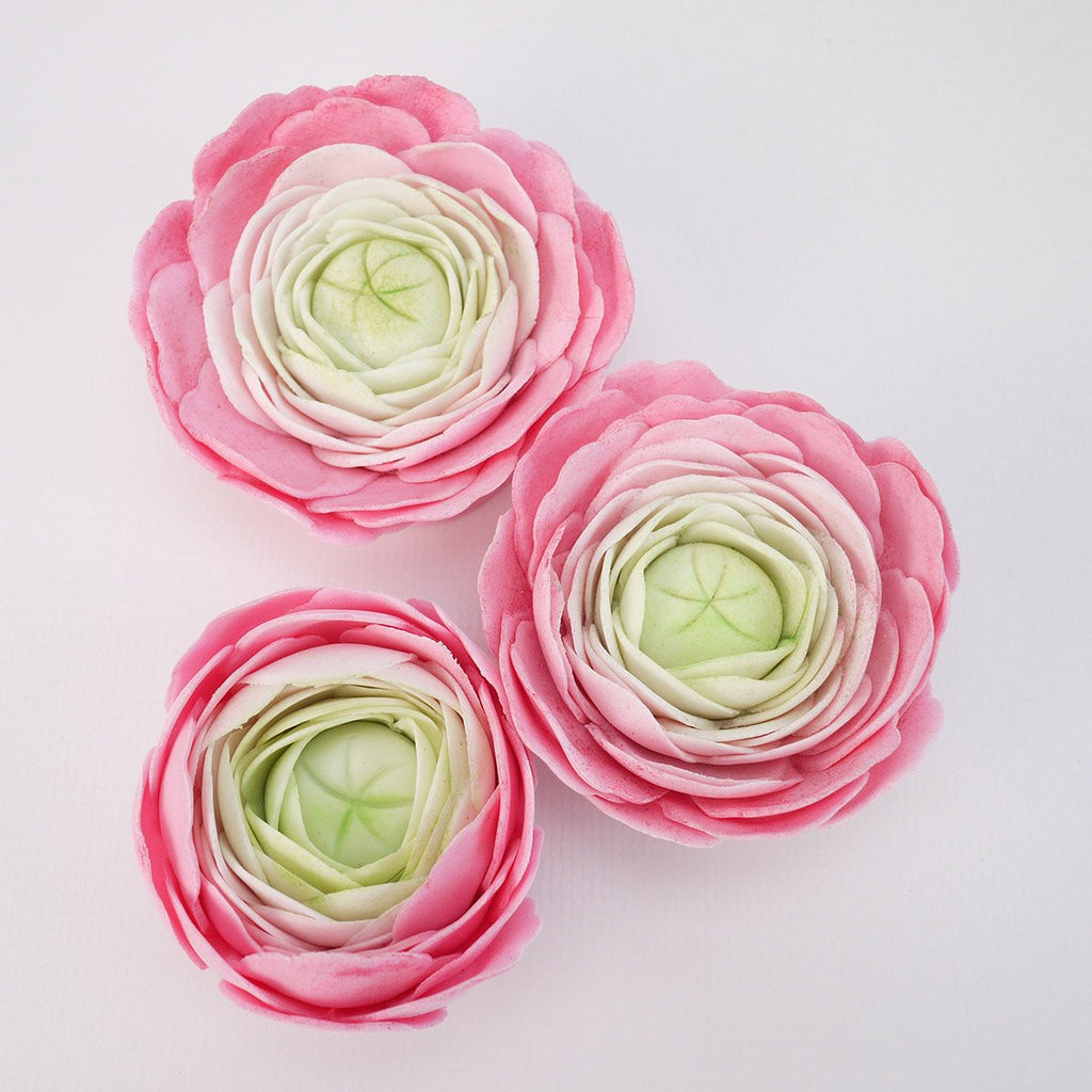 FMM The Easiest Ranunculus Ever